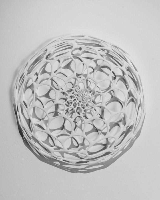 Alex Fischer, Dry Pixels and Wet Molecules O'Born Contemporary 36 Nervous System Preserver documentation, 2013