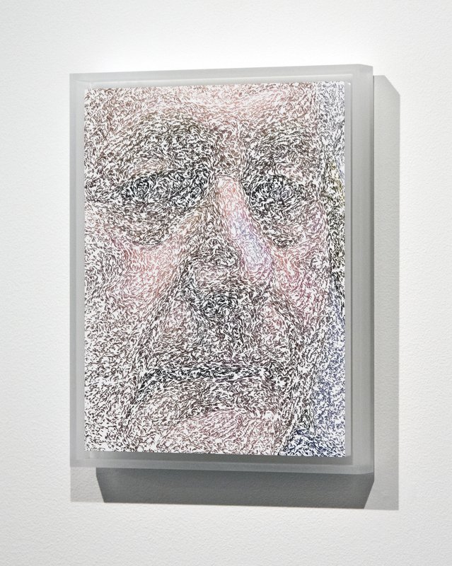 A General Impression (alternate), 2013, 11 × 8.5 × 0.5 in, matte giclée print