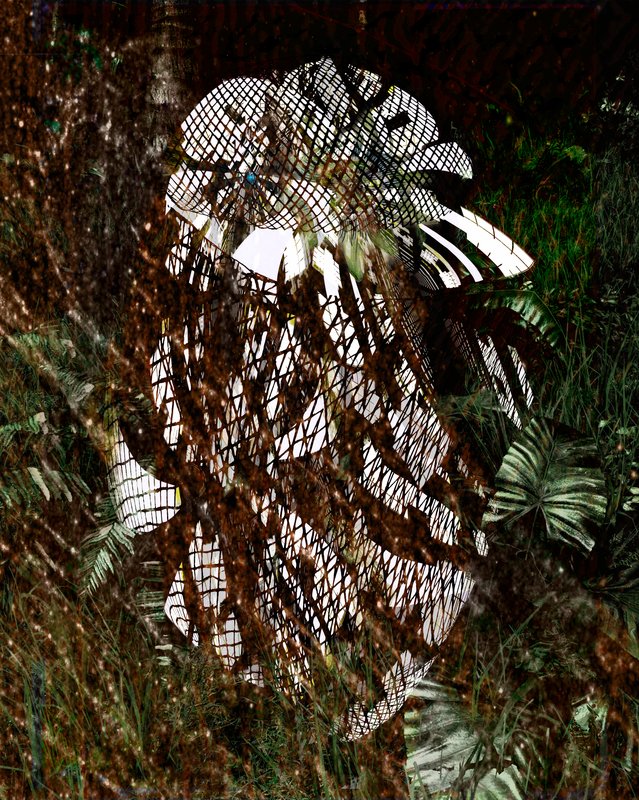 Thistlee Keeper, 2014, 21 × 17 in, matte giclée print