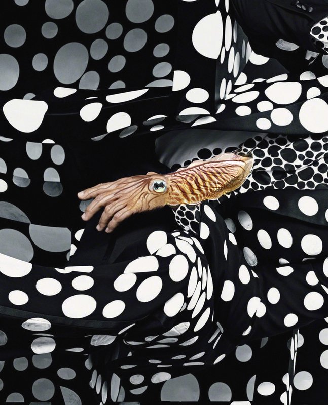 George's Cuttlefish, 2014, digital image