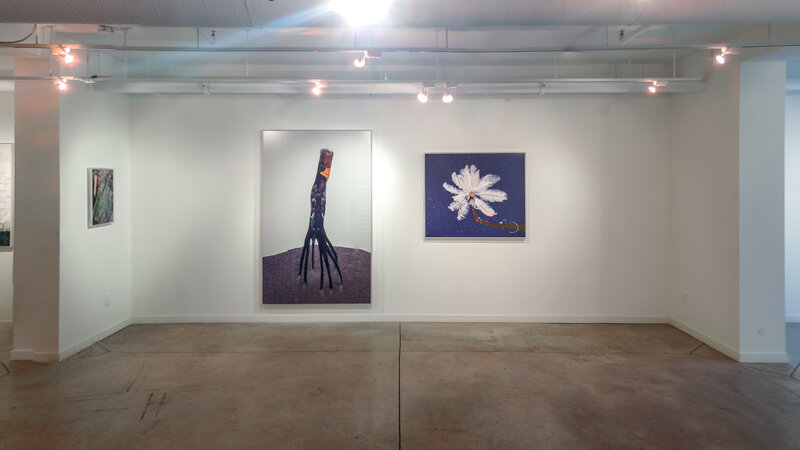 Alex Fischer, The Collective O'Born Contemporary 02 Seeding +Mangrove Down +Feather Feeder documentation, 2014