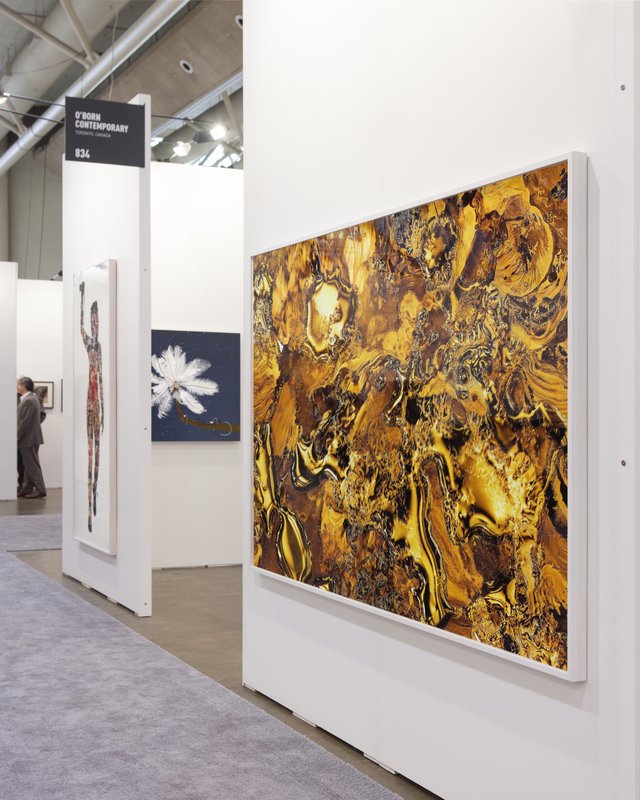 Alex Fischer, Art Toronto O'Born Contemporary 07 documentation, 2014