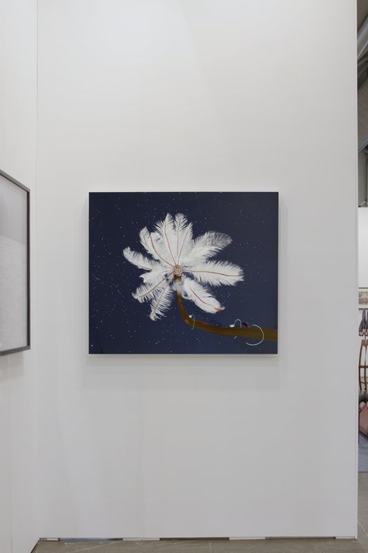 Feather Feeder (alternate), 2013, 36.38 × 42 × 0.5 in, luster giclée print