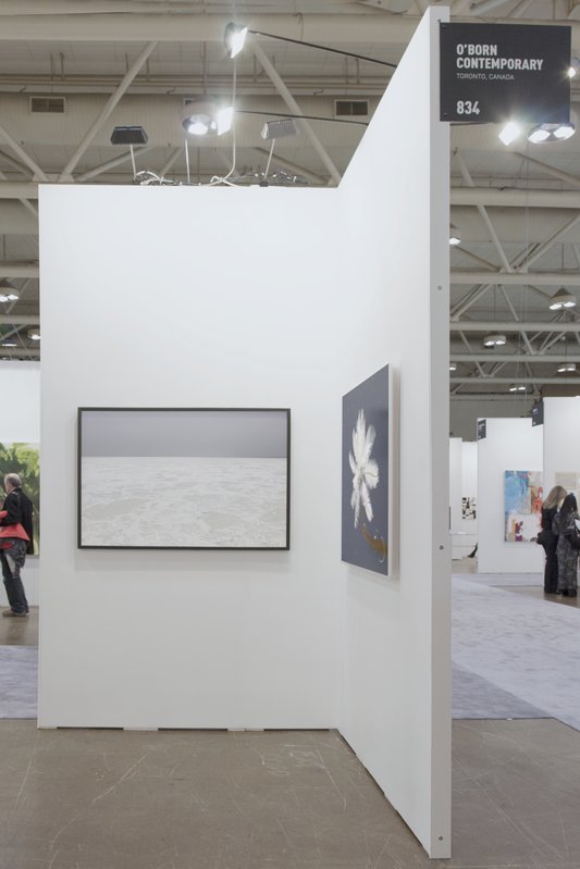 Feather Feeder (alternate), 2013, 36.38 × 42 × 0.5 in, luster giclée print