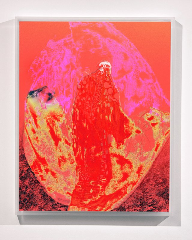 Red Lemon (alternate), 2014, 30 × 24 in, metallic lightjet print