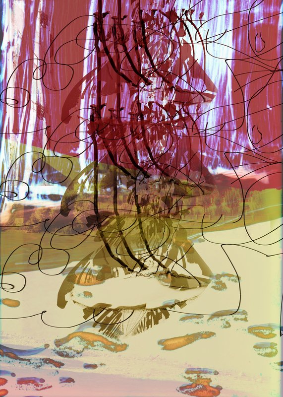 Alex Fischer, Beach Landing, 2015