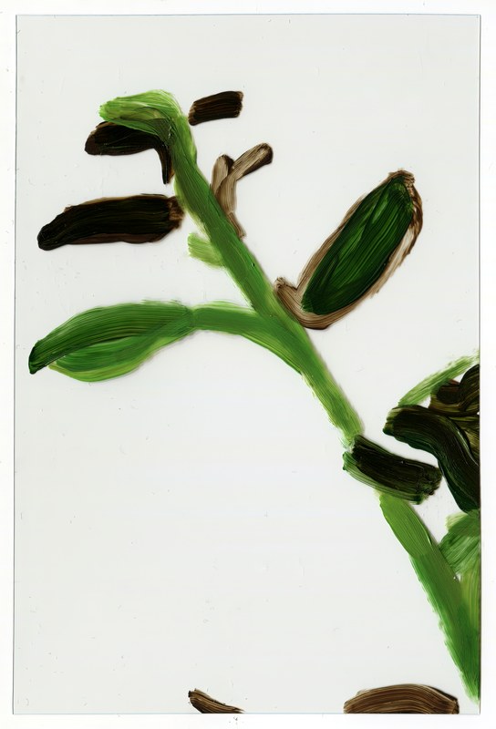 Alex Fischer, 1, 7, and 6000 O'Born Contemporary 02 VII (6000) A2 artwork, 2015