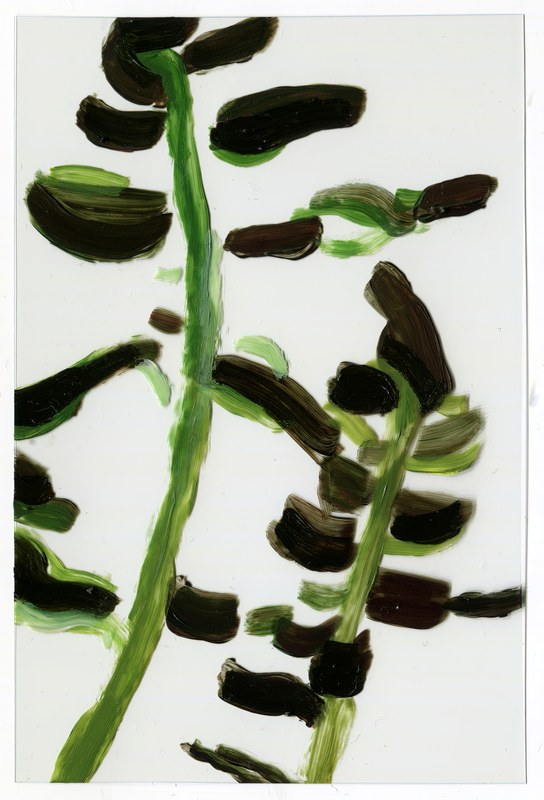 VII 6000 A3, 2015, 6 × 4 in, acrylic on transparent acrylic