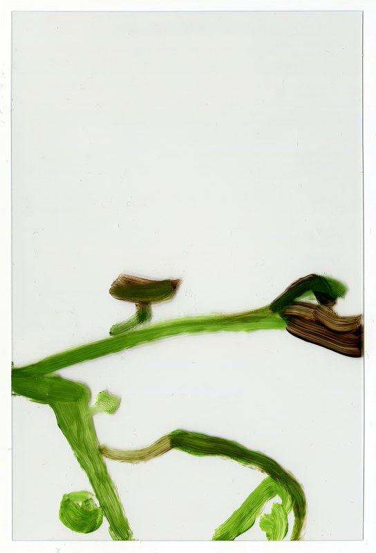 VII 6000 C11, 2015, 6 × 4 in, acrylic on transparent acrylic