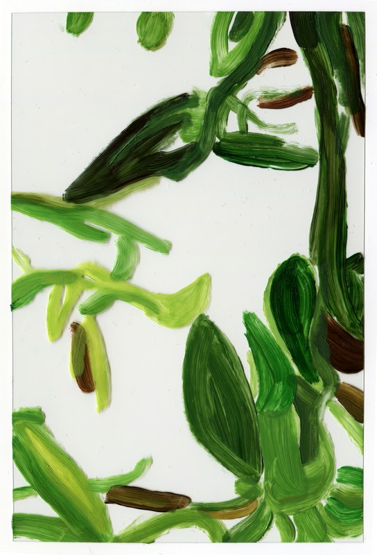 VII 6000 D2, 2015, 6 × 4 in, acrylic on transparent acrylic