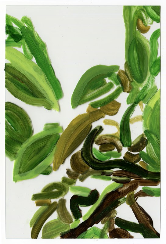 VII 6000 E1, 2015, 6 × 4 in, acrylic on transparent acrylic
