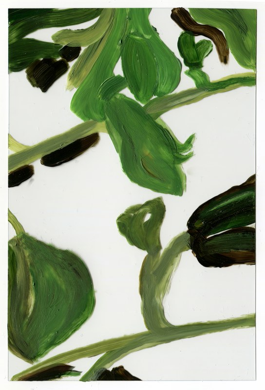 VII 6000 E8, 2015, 6 × 4 in, acrylic on transparent acrylic