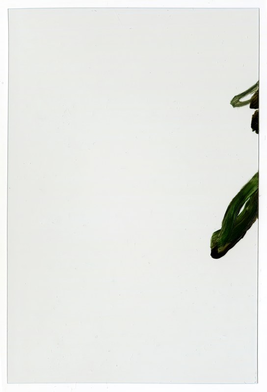 VII 6000 F6, 2015, 6 × 4 in, acrylic on transparent acrylic