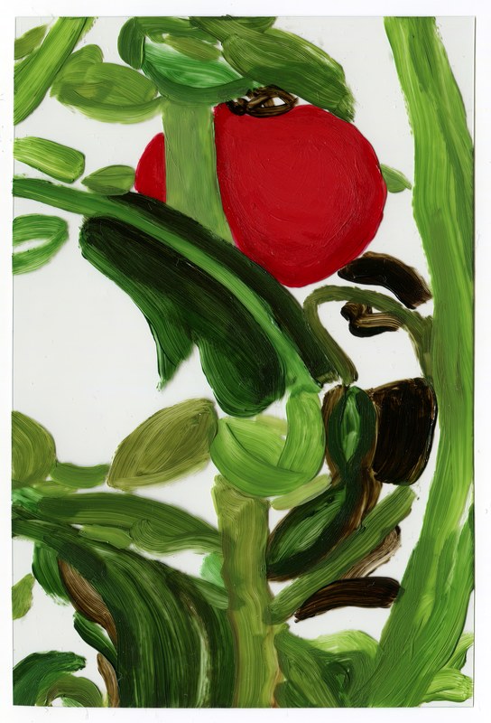 VII 6000 F10, 2015, 6 × 4 in, acrylic on transparent acrylic