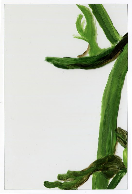 VII 6000 G2, 2015, 6 × 4 in, acrylic on transparent acrylic