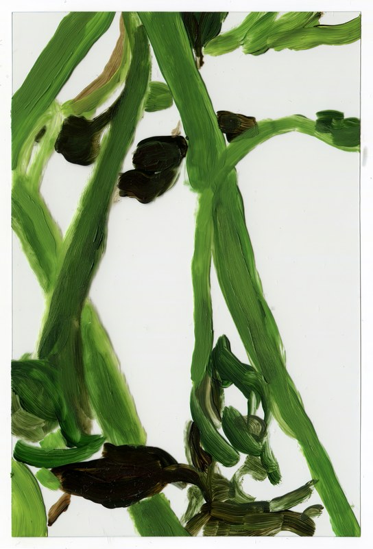 VII 6000 G3, 2015, 6 × 4 in, acrylic on transparent acrylic