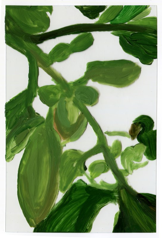 VII 6000 G12, 2015, 6 × 4 in, acrylic on transparent acrylic