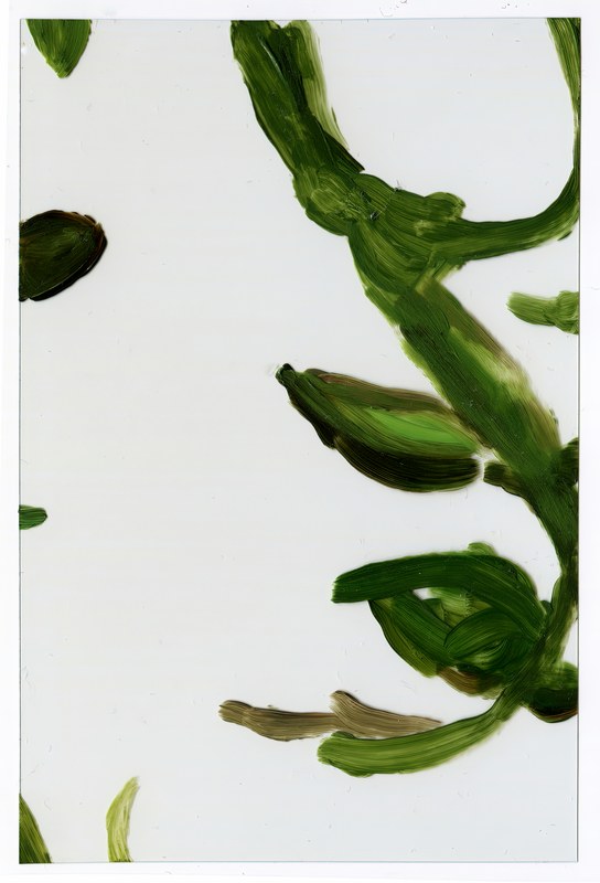 VII 6000 H3, 2015, 6 × 4 in, acrylic on transparent acrylic