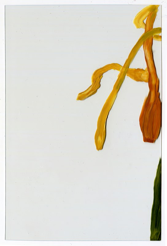 VII 6000 H9, 2015, 6 × 4 in, acrylic on transparent acrylic