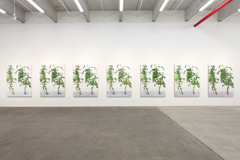 Alex Fischer, 1 7 and 6000 installation setup 01, 2015
