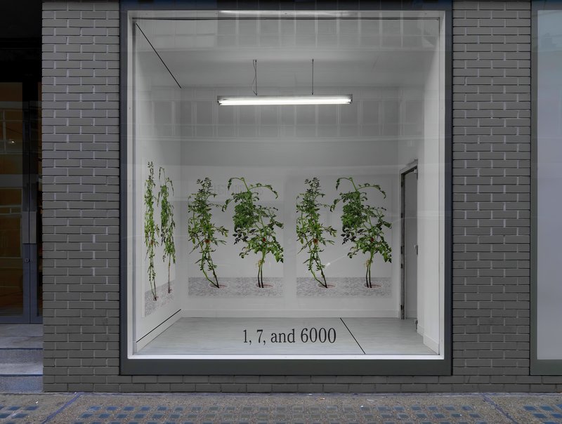 Alex Fischer, 1 7 and 6000 installation setup 02, 2015