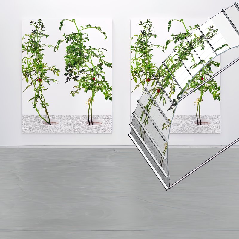 Alex Fischer, 1 7 and 6000 installation setup 04, 2015