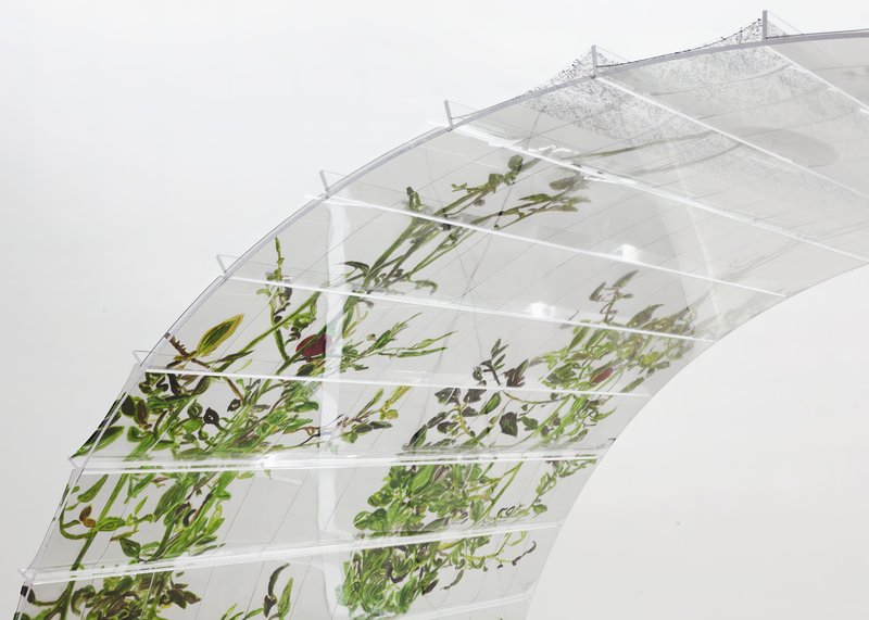 Alex Fischer, 1 7 and 6000 O'Born Contemporary 04 VII (6000) documentation, 2015