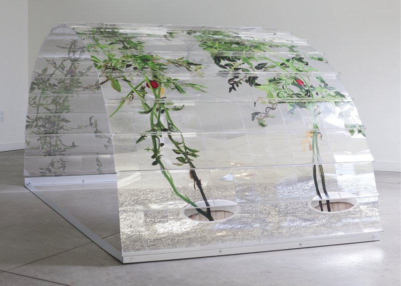 Alex Fischer, 1 7 and 6000 O'Born Contemporary 07 VII (6000) documentation, 2015