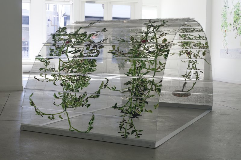 Alex Fischer, 1 7 and 6000 O'Born Contemporary 08 VII (6000) documentation, 2015