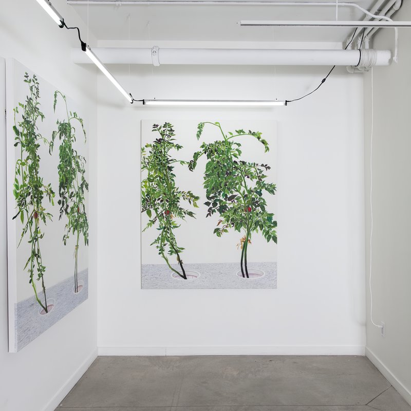 Alex Fischer, 1 7 and 6000 O'Born Contemporary 13 VII 陈山 Chen Shan documentation, 2015