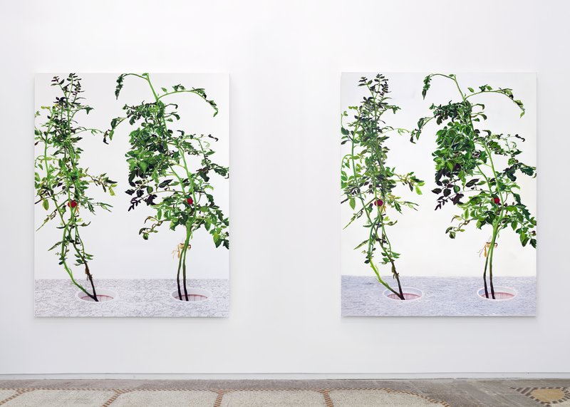 Alex Fischer, 1 7 and 6000 O'Born Contemporary 15 VII (print) documentation, 2015