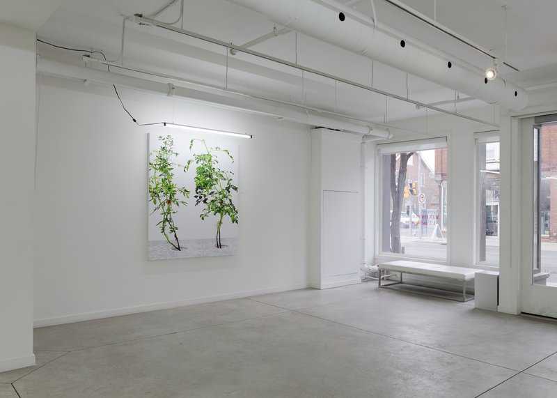 Alex Fischer, 1 7 and 6000 O'Born Contemporary 20 1 7 and 6000 documentation, 2015