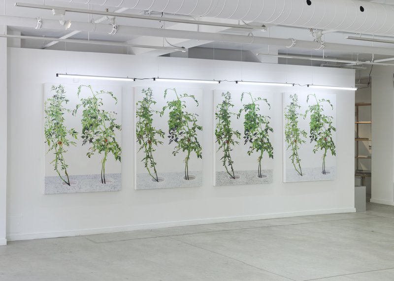Alex Fischer, 1 7 and 6000 O'Born Contemporary 21 1 7 and 6000 documentation, 2015