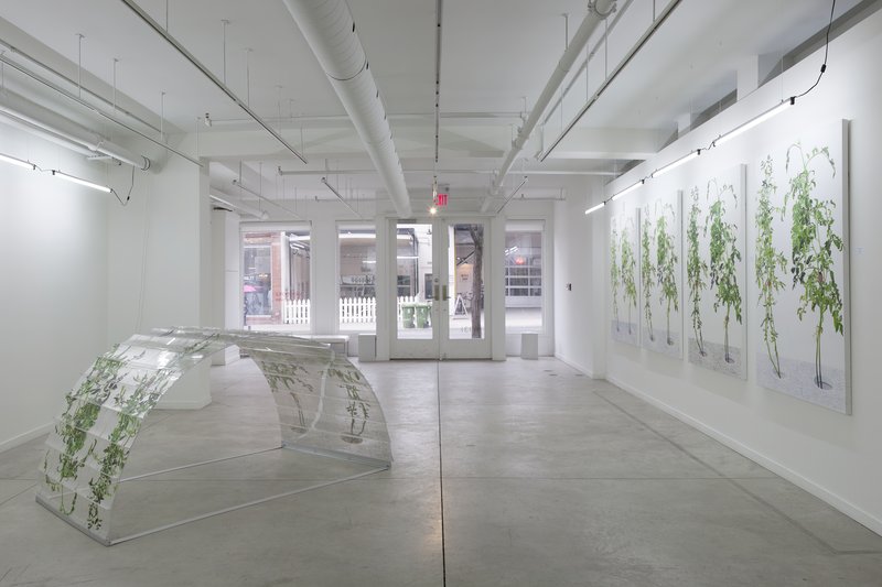 Alex Fischer, 1 7 and 6000 O'Born Contemporary 23 1 7 and 6000 documentation, 2015
