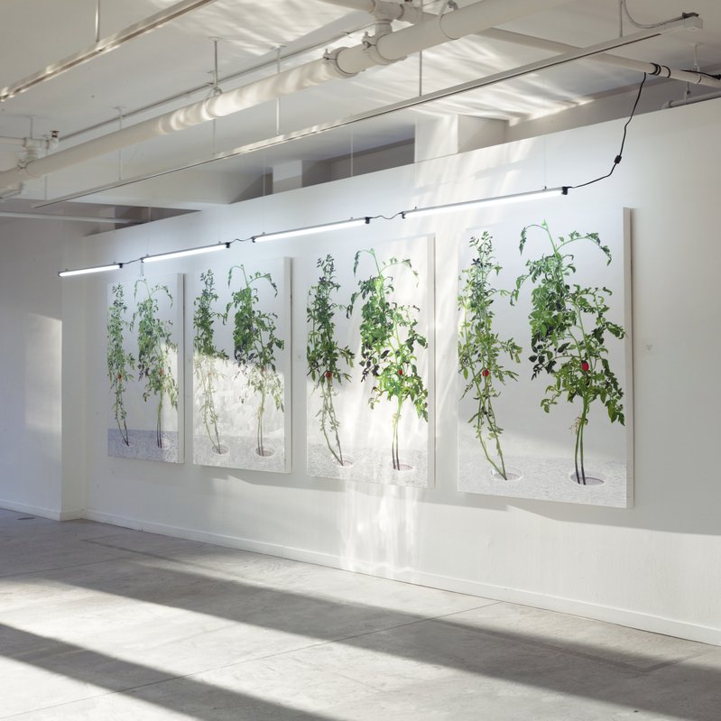 Alex Fischer, 1 7 and 6000 O'Born Contemporary 28 1 7 and 6000 documentation, 2015