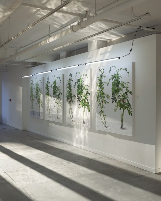 Alex Fischer, 1 7 and 6000 O'Born Contemporary 29 1 7 and 6000 documentation, 2015