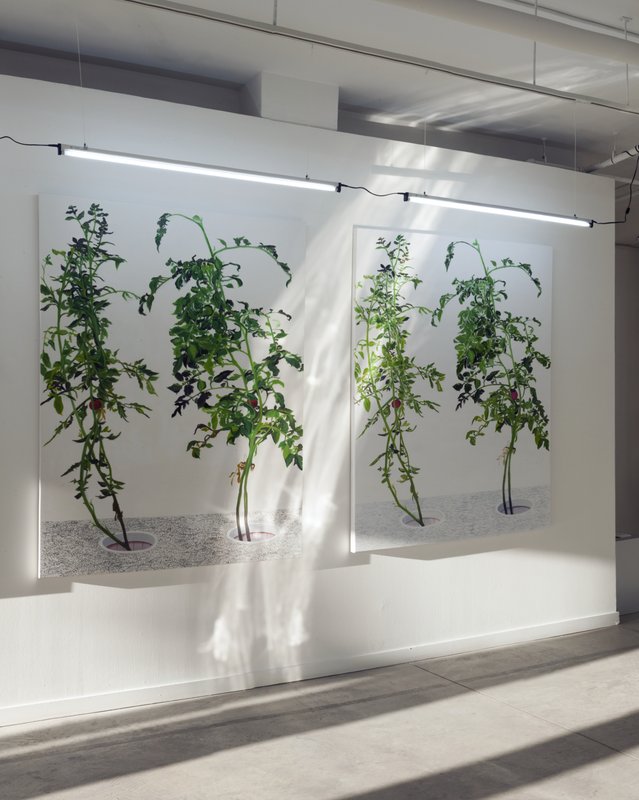 Alex Fischer, 1 7 and 6000 O'Born Contemporary 30 1 7 and 6000 documentation, 2015