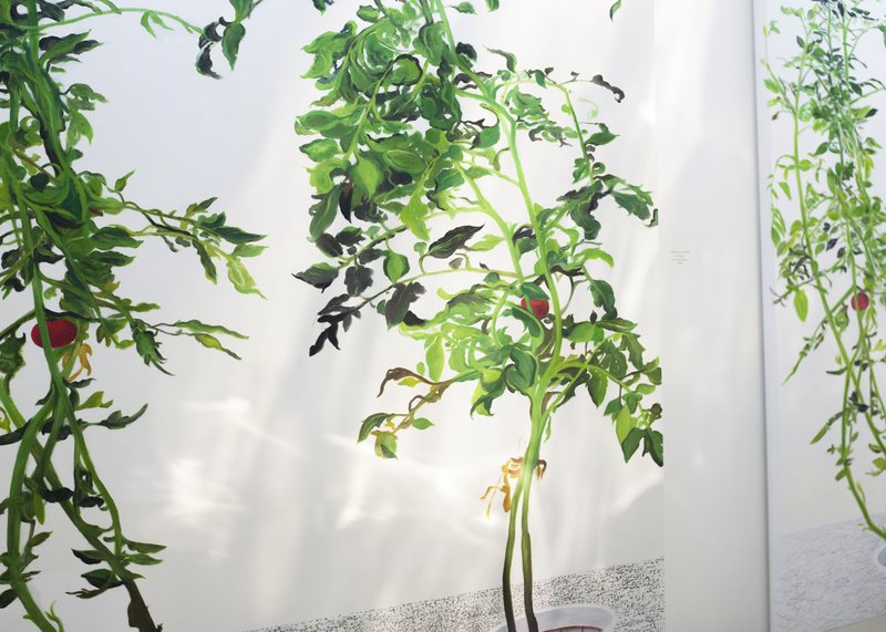 Alex Fischer, 1 7 and 6000 O'Born Contemporary 31 1 7 and 6000 documentation, 2015