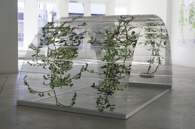 Alex Fischer, 1 7 and 6000 O'Born Contemporary 38 VII (6000) documentation, 2015