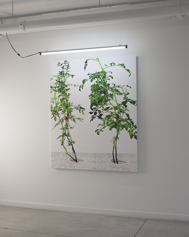 Alex Fischer, 1 7 and 6000 O'Born Contemporary 42 VII (print) documentation, 2015
