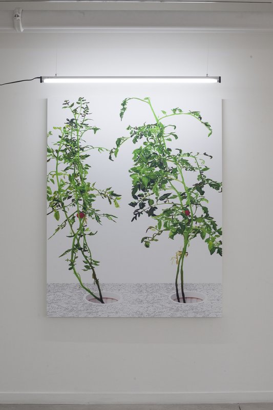 Alex Fischer, 1 7 and 6000 O'Born Contemporary 43 VII (print) documentation, 2015