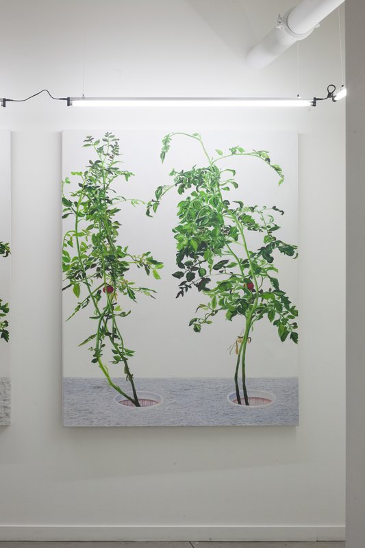 Alex Fischer, 1 7 and 6000 O'Born Contemporary 44 VII 冯声贵 Feng Shui Gui documentation, 2015