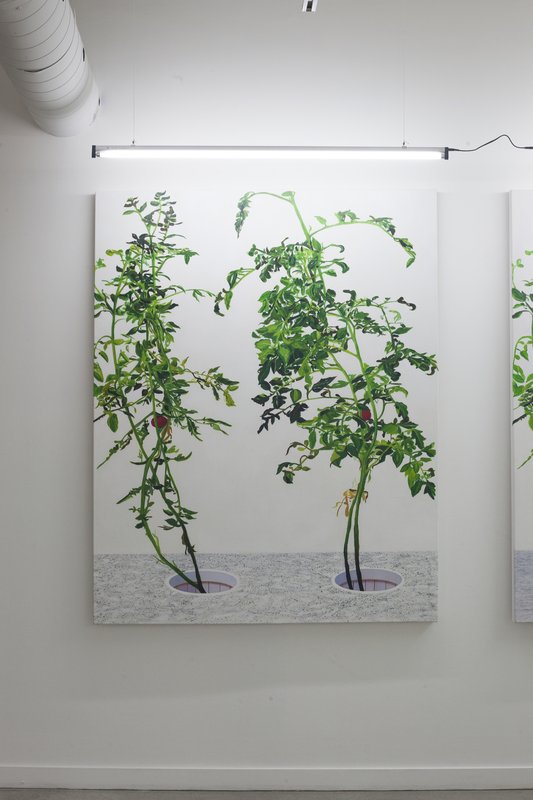 Alex Fischer, 1 7 and 6000 O'Born Contemporary 45 VII 叶安 Ye An documentation, 2015