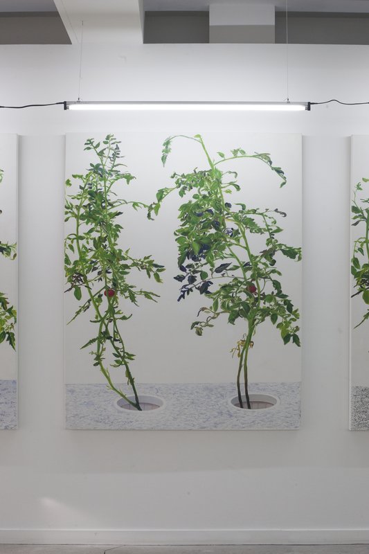 VII 林建 Lin Jian, 2015, 60 × 48 in, oil painting