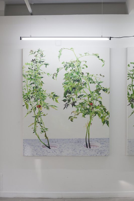 Alex Fischer, 1 7 and 6000 O'Born Contemporary 47 VII 江明 Jiang Ming documentation, 2015