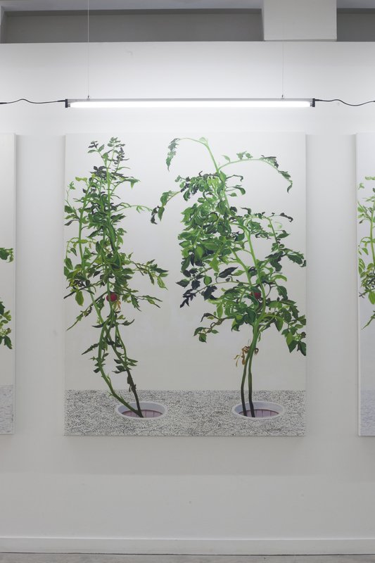 Alex Fischer, 1 7 and 6000 O'Born Contemporary 50 VII 陈文波 Chen Wen Bo documentation, 2015
