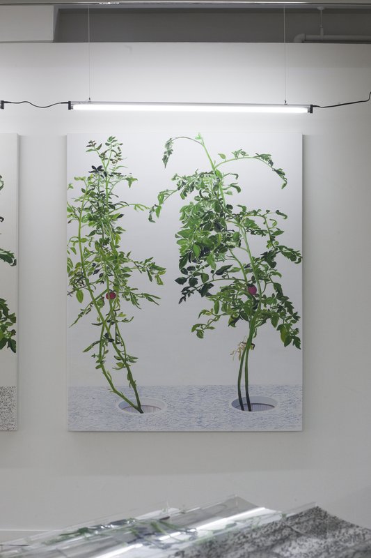 Alex Fischer, 1 7 and 6000 O'Born Contemporary 51 VII 陈秋林 Chen Qiu Lin documentation, 2015