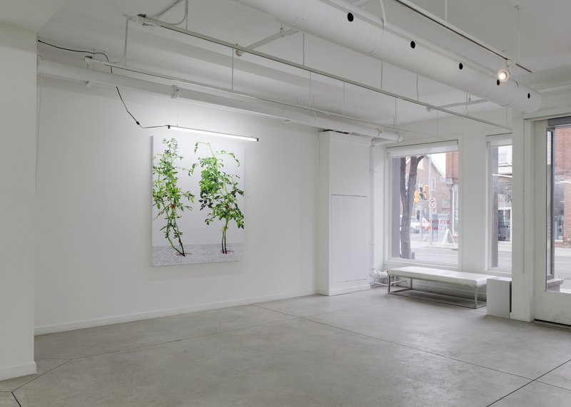 Alex Fischer, 1 7 and 6000 O'Born Contemporary 52 1 7 and 6000 documentation, 2015