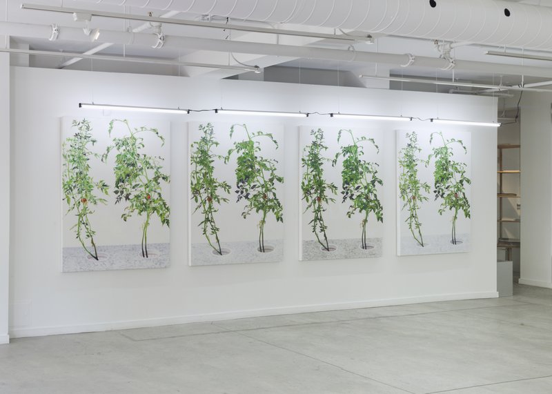 Alex Fischer, 1 7 and 6000 O'Born Contemporary 53 1 7 and 6000 documentation, 2015