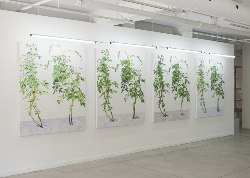 Alex Fischer, 1 7 and 6000 O'Born Contemporary 54 1 7 and 6000 documentation, 2015